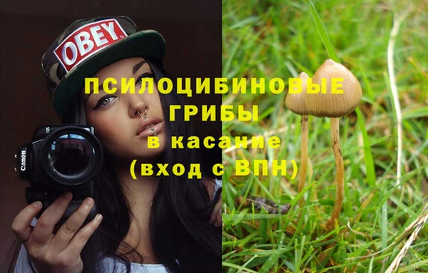 spice Новодвинск