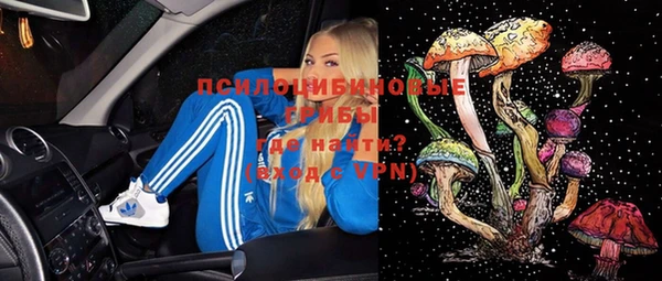 apvp Нефтегорск