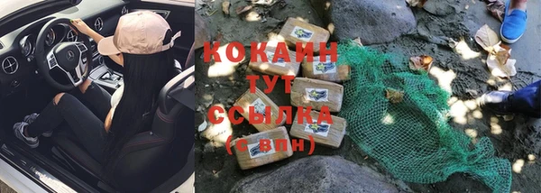 spice Новодвинск