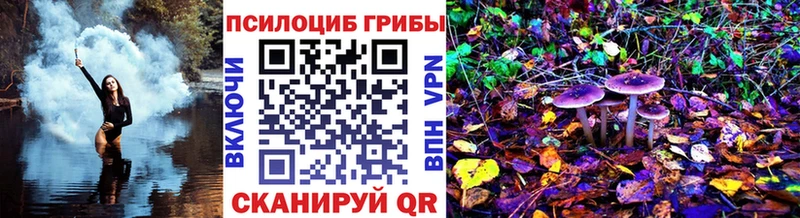 mega онион  Удомля  Галлюциногенные грибы Magic Shrooms  закладка 