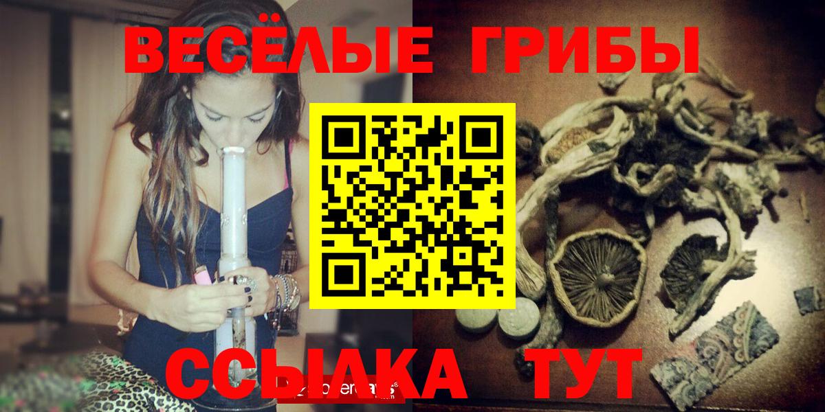 как найти   Псилоцибиновые грибы Psilocybe  Вход с VPN  Удомля 