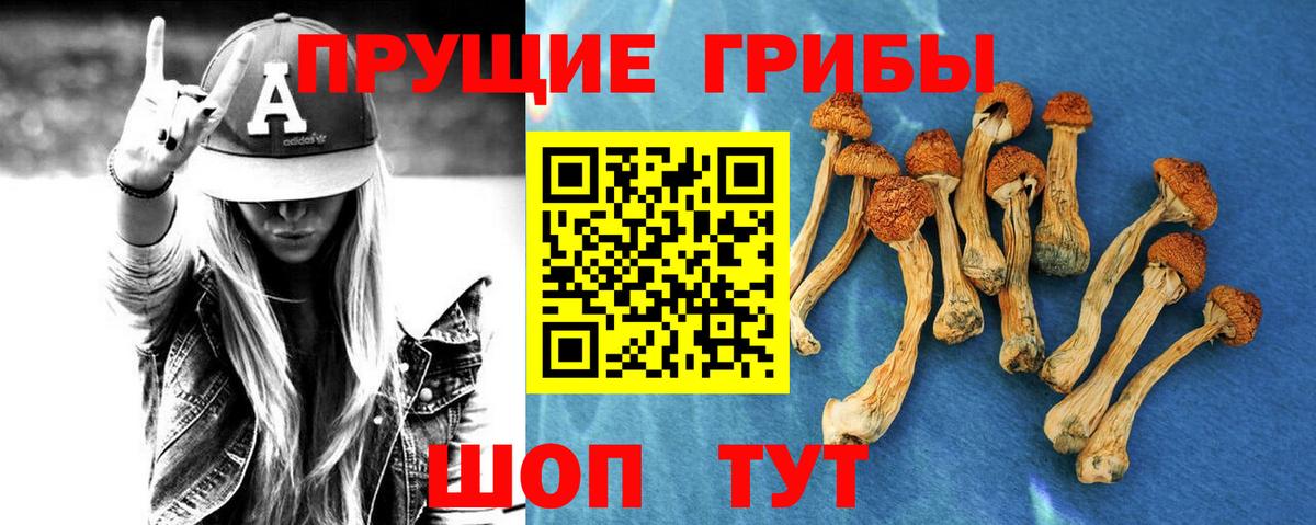 Галлюциногенные грибы GOLDEN TEACHER Удомля