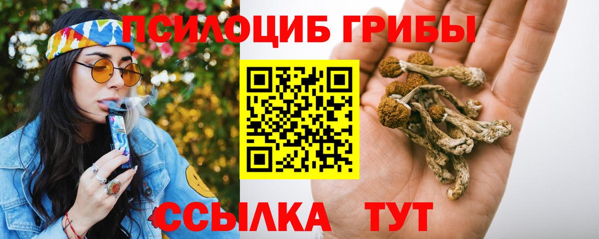 Хмурый  Кодеин  Лсд 25  MDMA  Удомля  Вход с VPN  Конопля  Мяу-Мяу  Кокаин  Альфа-ПВП  Мефедрон 