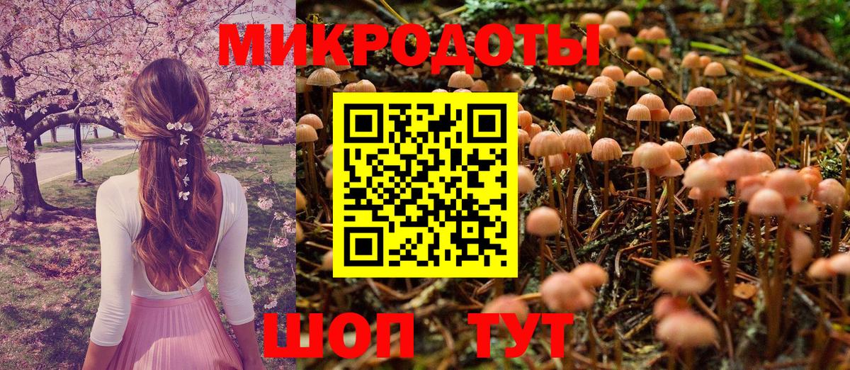Галлюциногенные грибы GOLDEN TEACHER  Псилоцибиновые грибы Psilocybe  Удомля 