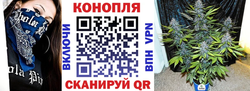 Бошки Шишки марихуана  Удомля 